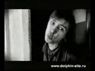 clip | dolphin - dealer